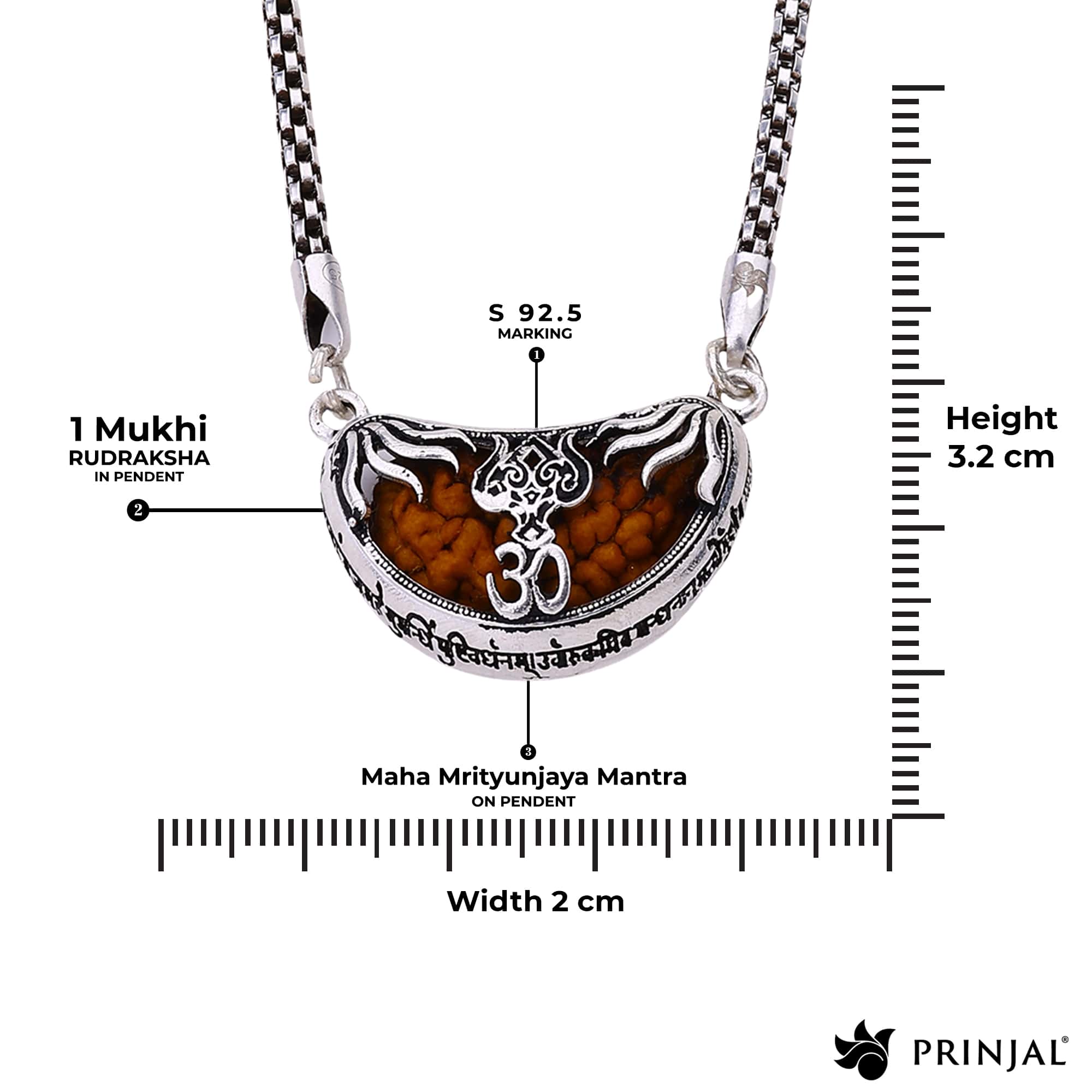 1 Mukhi Rudraksha with Trishul Silver Cap Pendant - Image 4