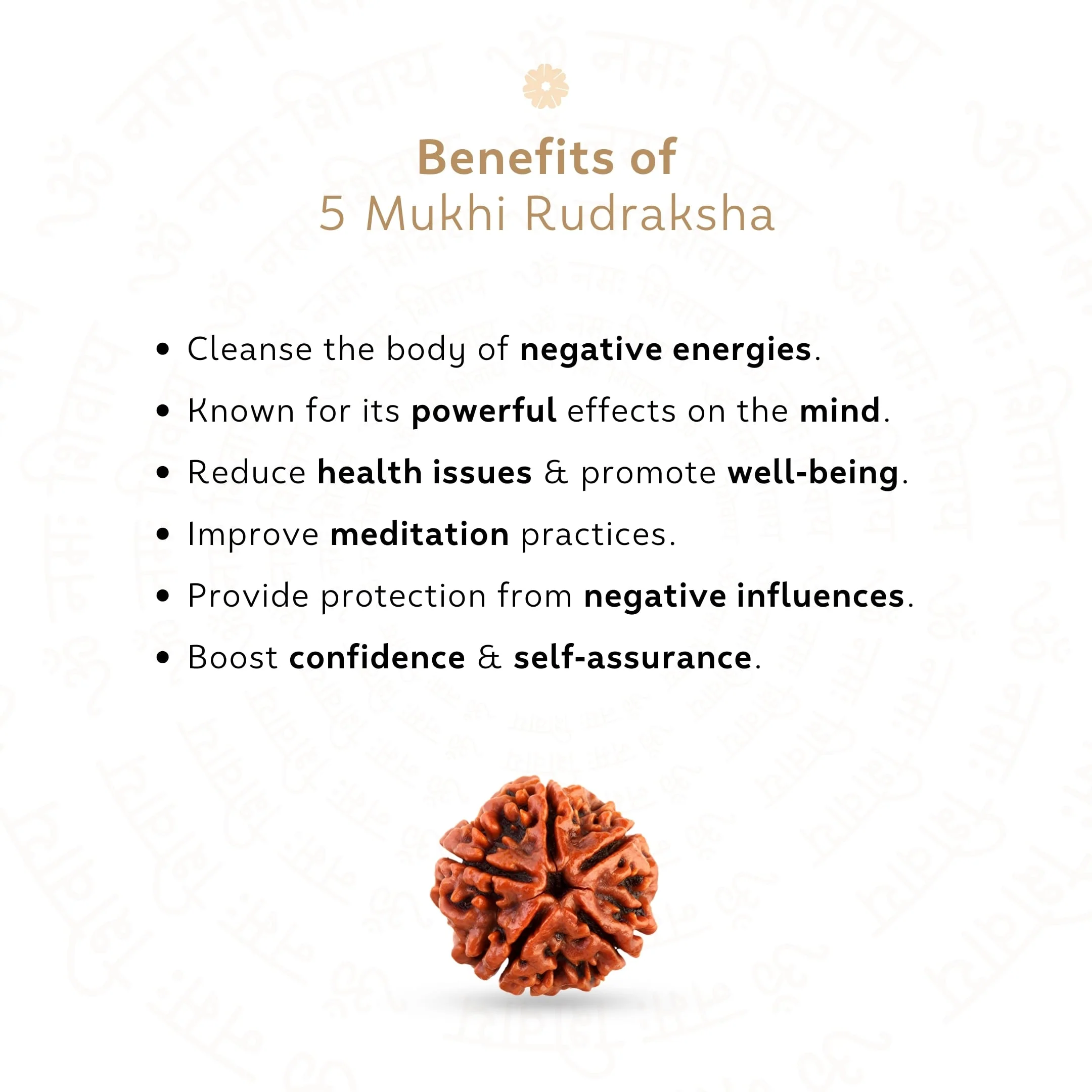Buy Orignal 5 Mukhi Rudraksha ( Nepali ) Online at Best Price - Image 3