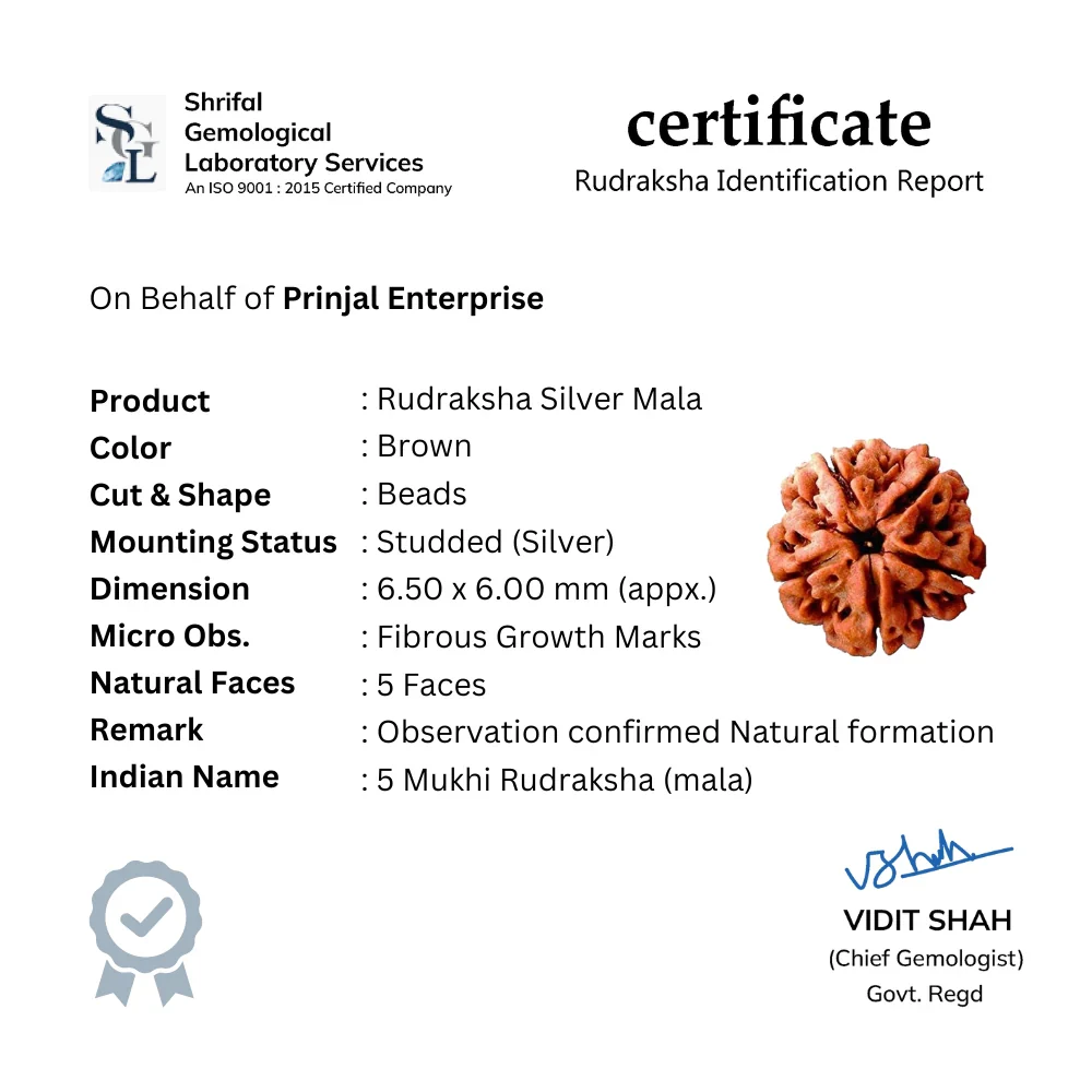Rudraksha with Oval Om Silver Beads Bracelet - Image 4