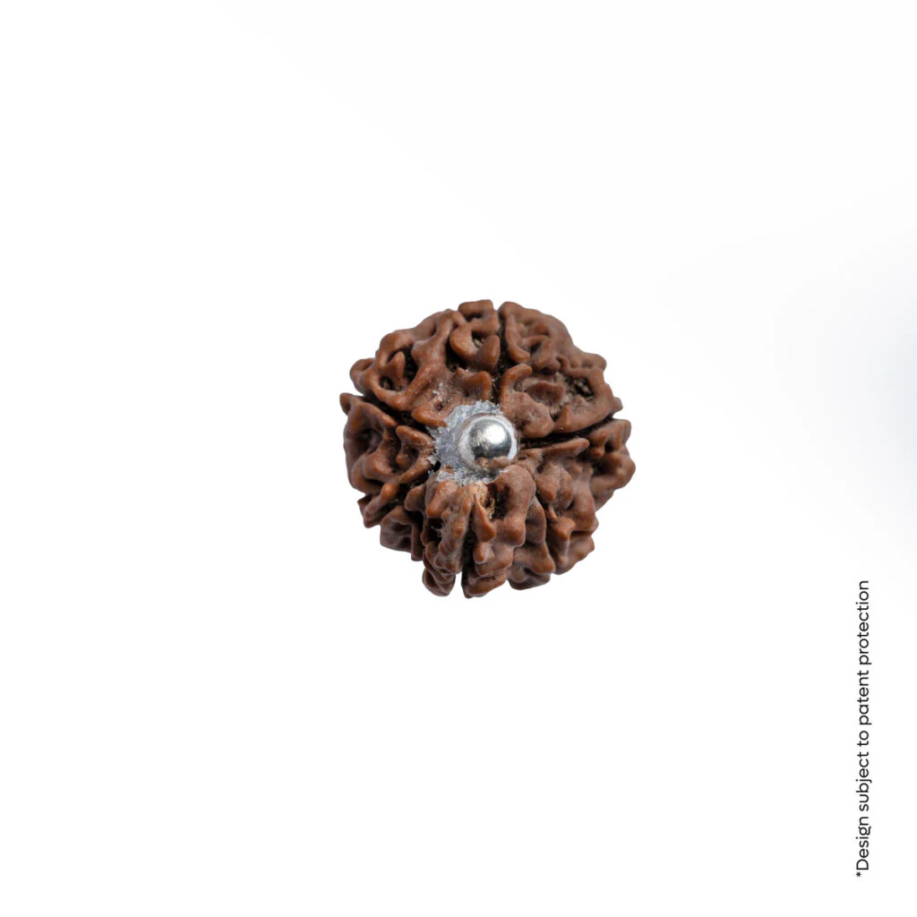 Adiyogi Pendant (Ganesh Mukhi Nepali Rudraksha) - Image 10
