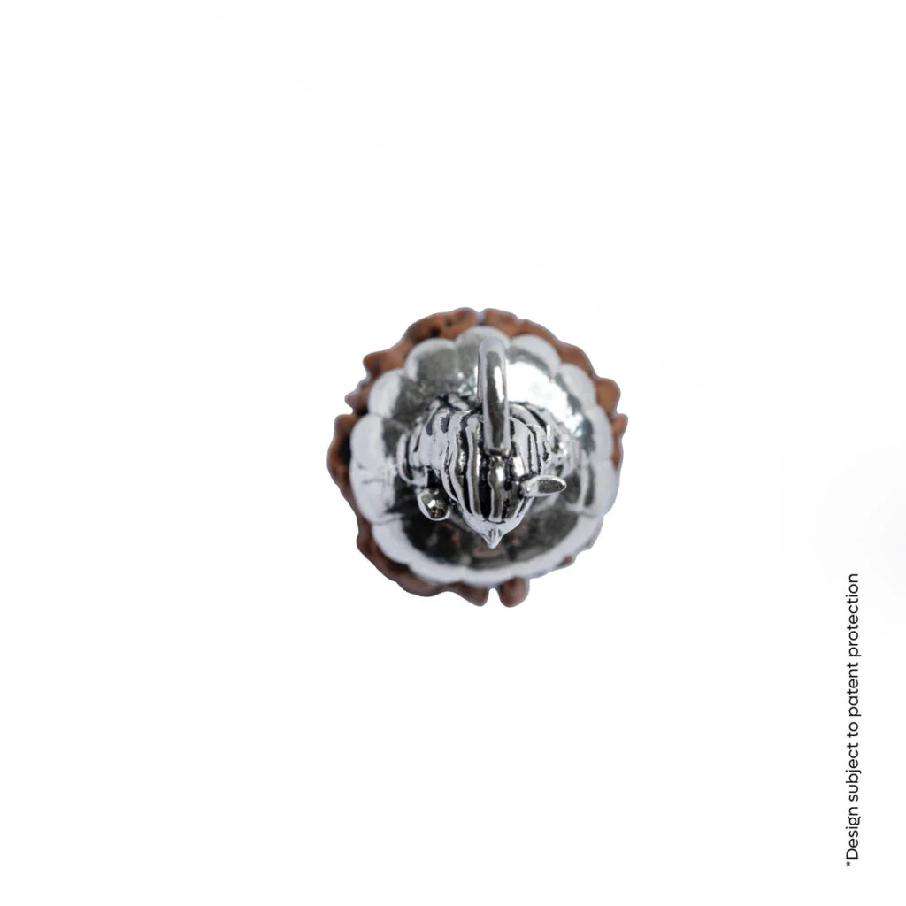 Adiyogi Pendant (Ganesh Mukhi Nepali Rudraksha) - Image 11