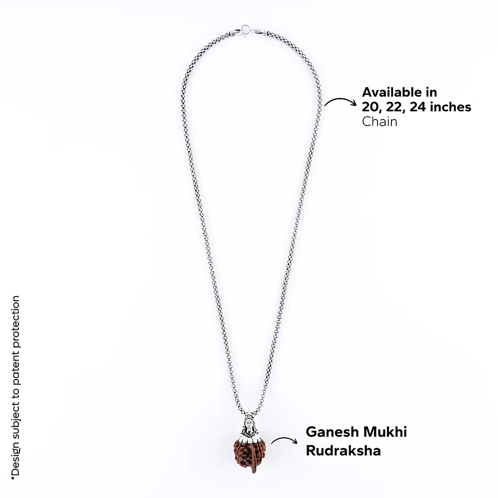 Adiyogi Pendant (Ganesh Mukhi Nepali Rudraksha) - Image 6