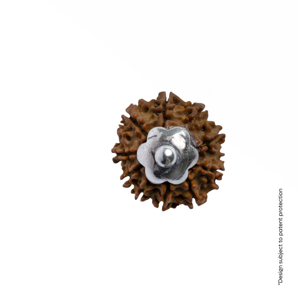 Adiyogi Pendant (10 Mukhi Nepali Rudraksha) - Image 7