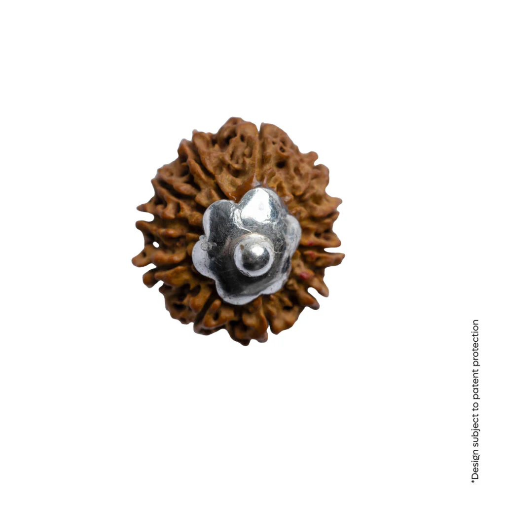Adiyogi Pendant (11 Mukhi Nepali Rudraksha) - Image 8