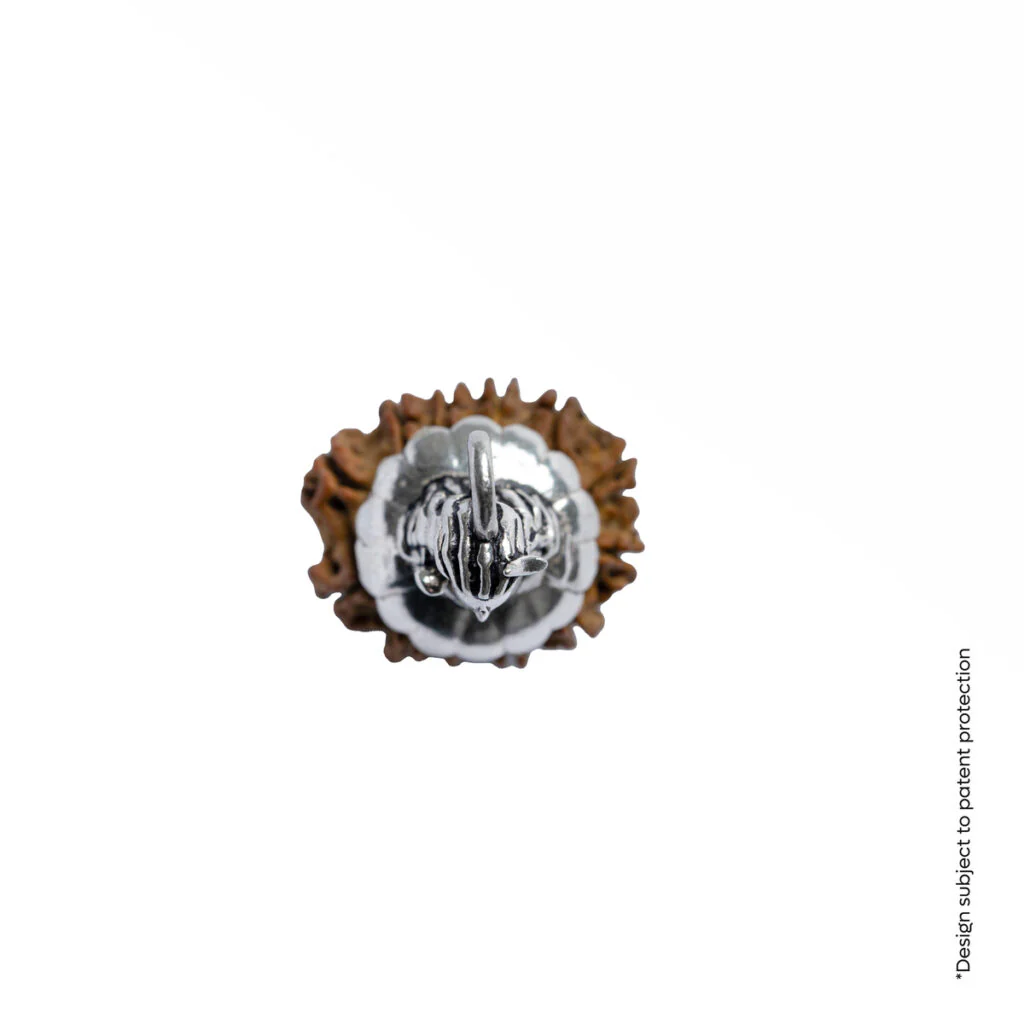 Adiyogi Pendant (12 Mukhi Nepali Rudraksha) - Image 12
