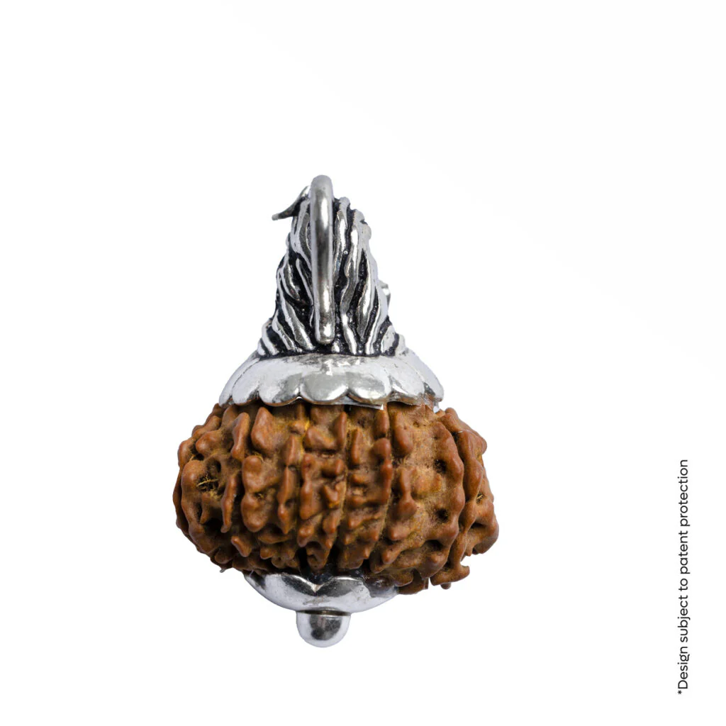 Adiyogi Pendant (12 Mukhi Nepali Rudraksha) - Image 9