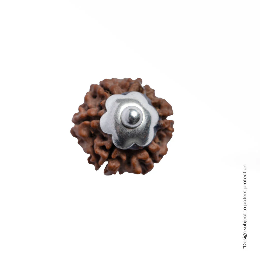Adiyogi Pendant (6 Mukhi Nepali Rudraksha) - Image 8