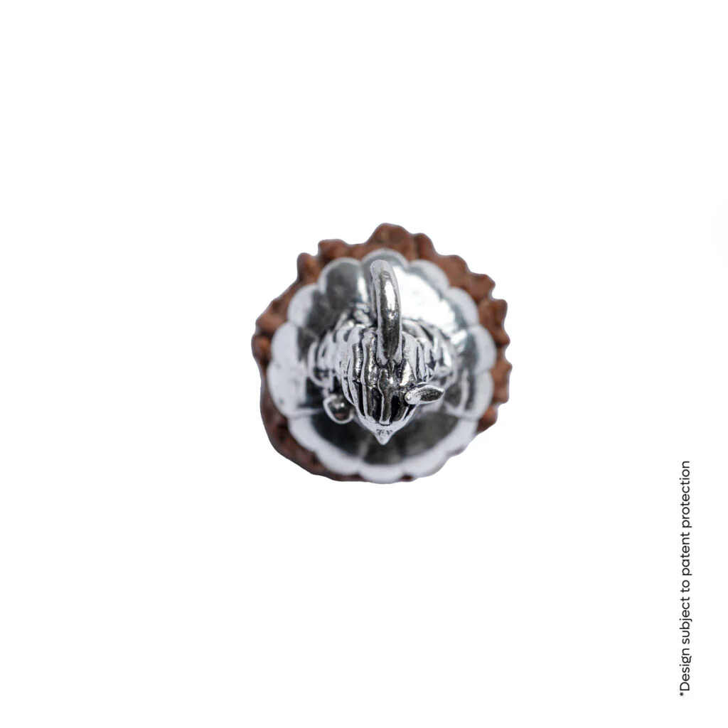 Adiyogi Pendant (7 Mukhi Nepali Rudraksha) - Image 12