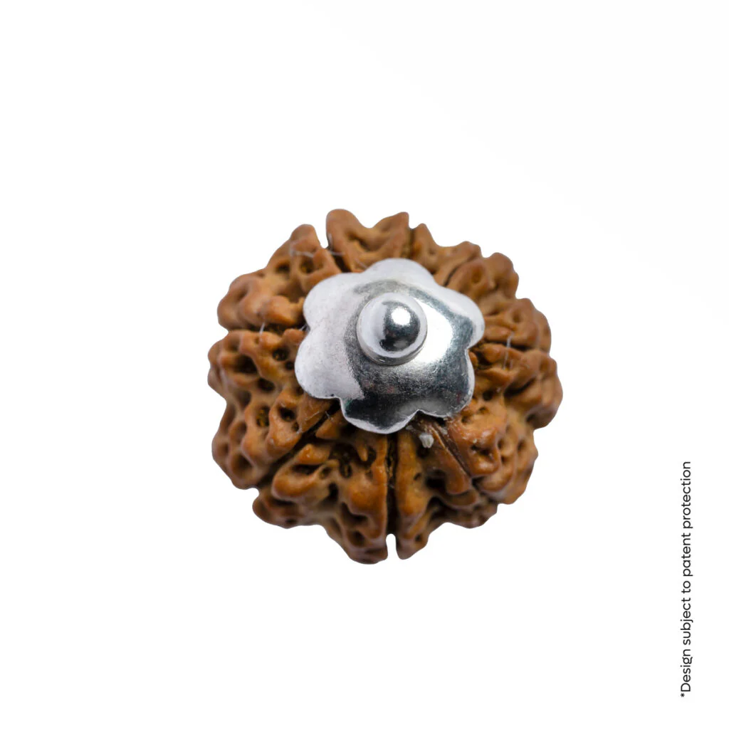 Adiyogi Pendant (8 Mukhi Nepali Rudraksha) - Image 8