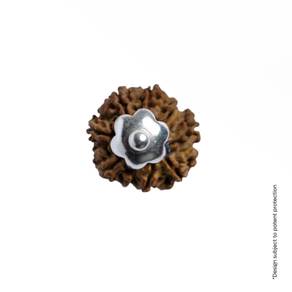 Adiyogi Pendant (9 Mukhi Nepali Rudraksha) - Image 8