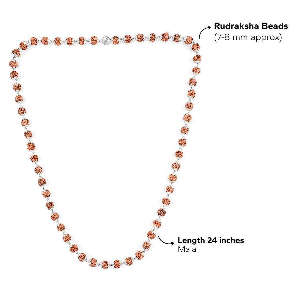 Rudraksha Silver Mala ( 8 – 9 mm Rudraksha Size) - Image 7