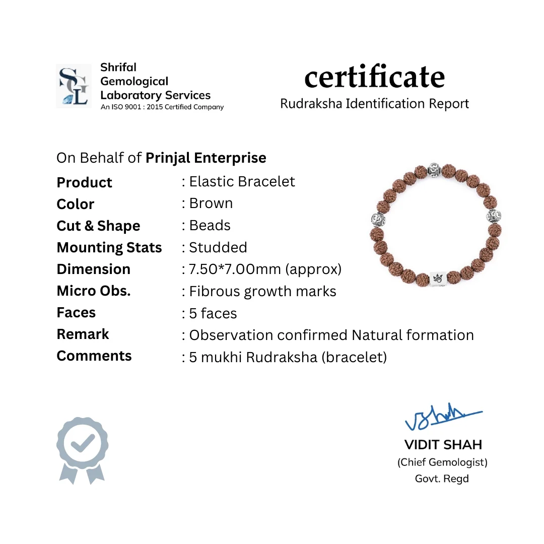 Rudraksha with Om Silver Beads Bracelet - Image 7