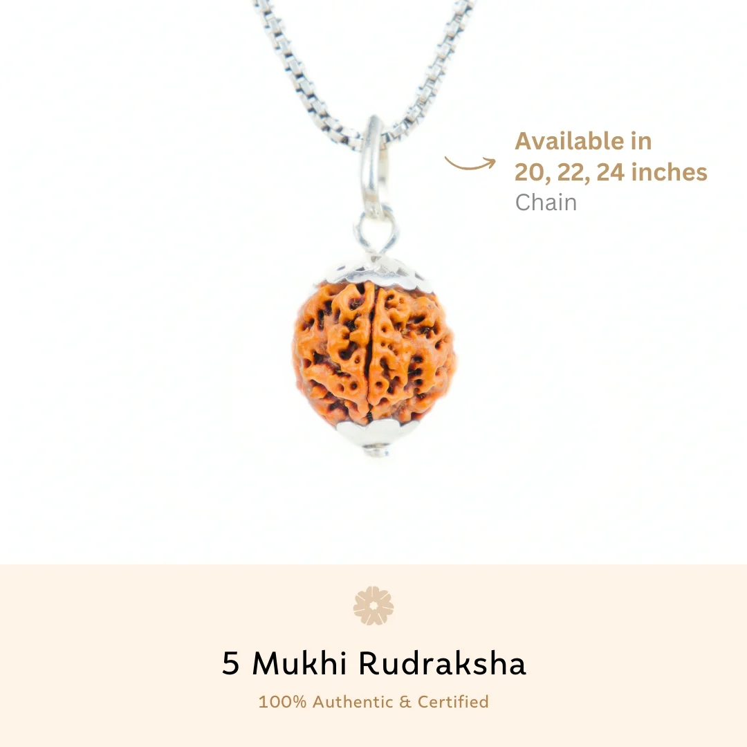 5 Mukhi Rudraksha Silver Capping Pendant ( Nepali ) - Image 3