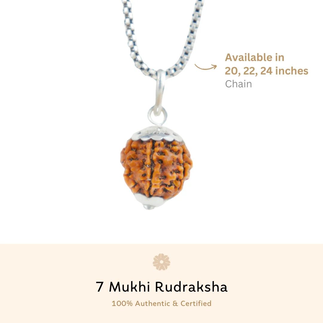 7 Mukhi Rudraksha Silver Capping Pendant ( Nepali ) - Image 3