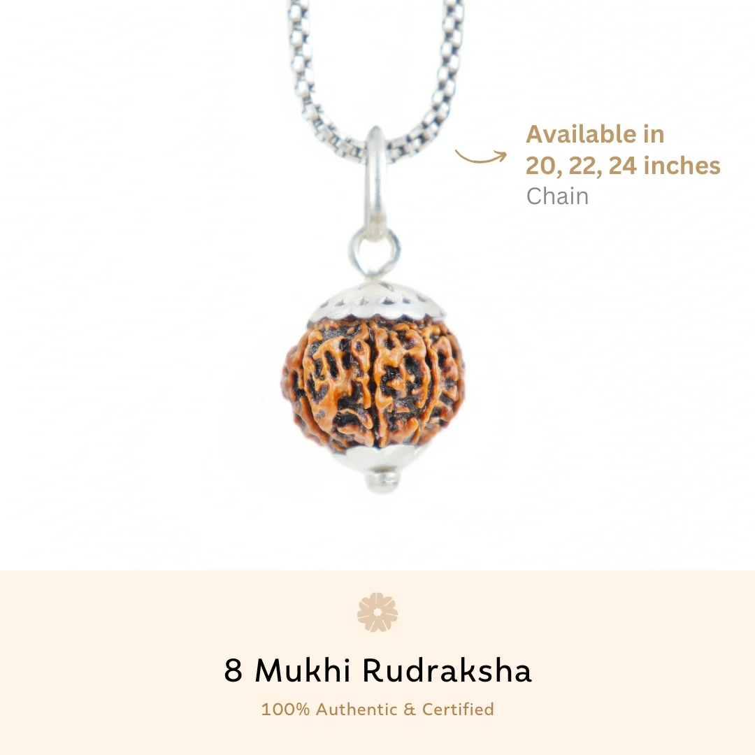 8 Mukhi Rudraksha Silver Capping Pendant ( Nepali ) - Image 3